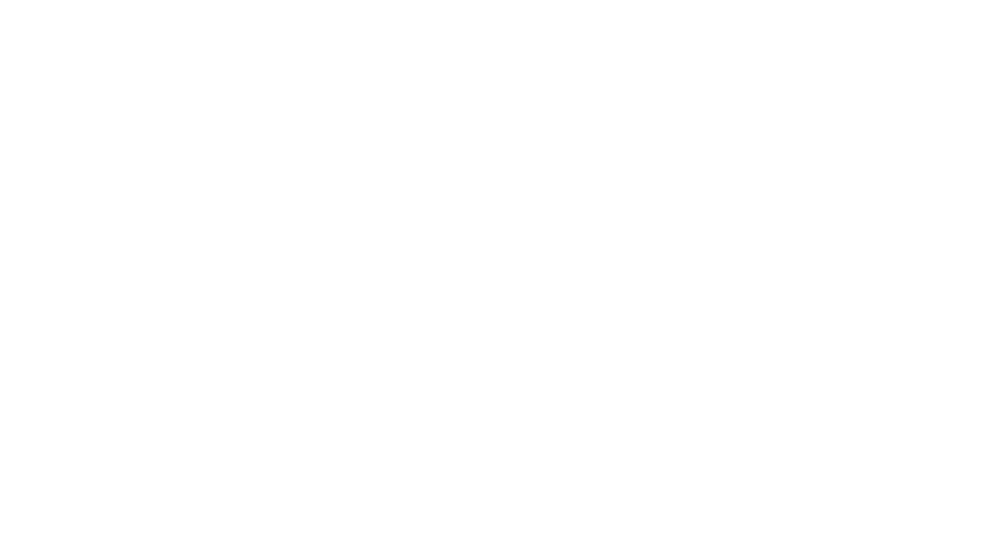 Meridian Partners